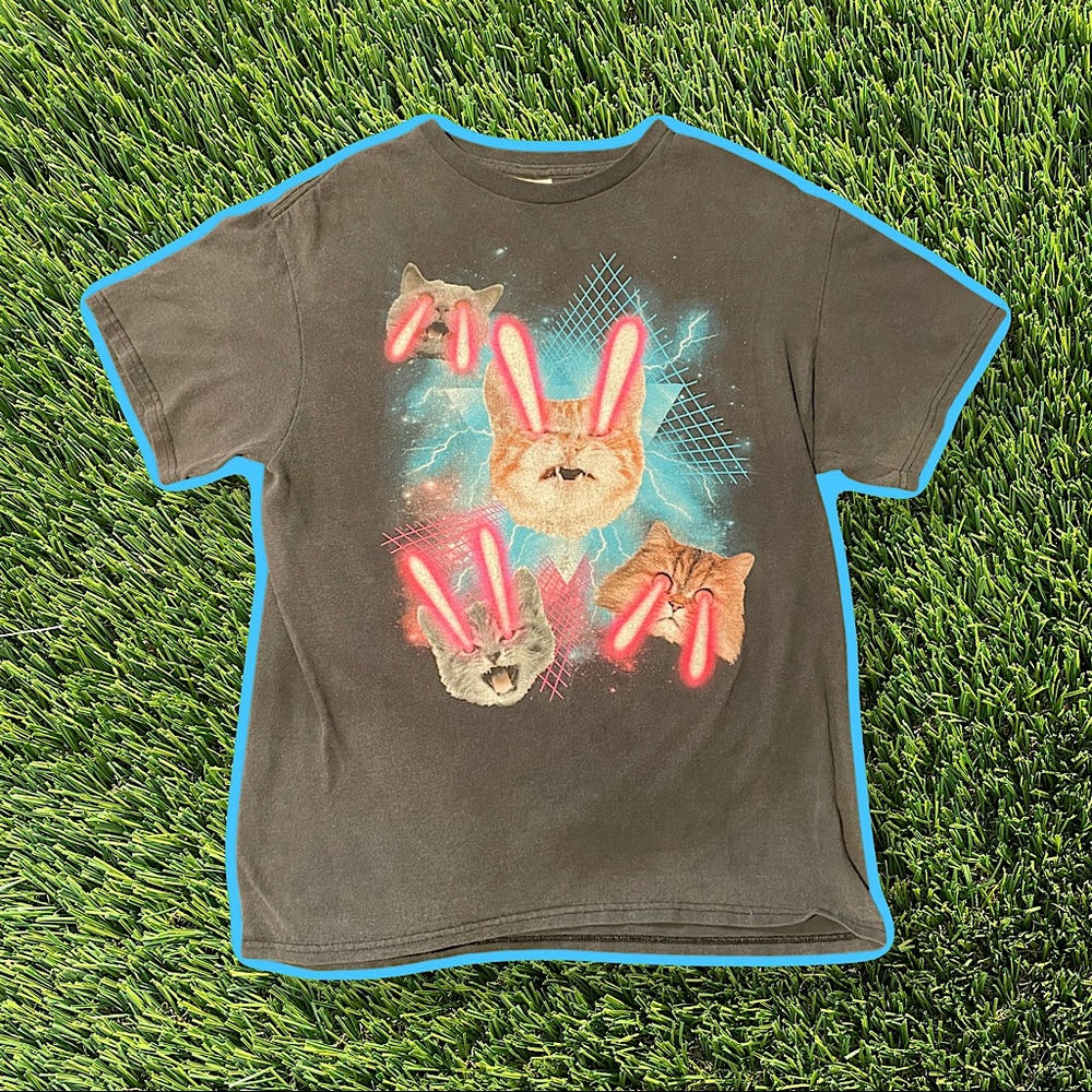 Laser Kittens !